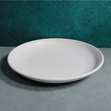 Matte Dinner Plate (White)