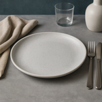 Matte Dinner Plate (White Granite)