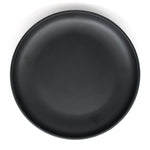 Matte Dinner Plate (Black)