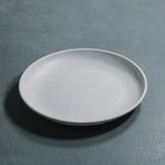 Matte Dinner Plate (White Granite)