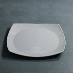 Dinner Plate (White Granite)