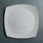 Dinner Plate (White Granite)