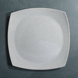 Dinner Plate (White Granite)